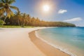 Tranquil tropical beach with crystal clear water, white sand, and palm trees swaying under a sunny blue sky Royalty Free Stock Photo