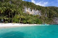 Tranquil tropical beach