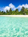 Tranquil tropical beach. Palm trees and white sand under blue sky. Exotic coast view, vertical beach banner. Summer travel Royalty Free Stock Photo