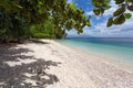 Tranquil tropical beach