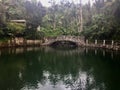 Zen and tranquil tropical pool