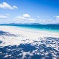 A tranquil tropical seascape on summer sunny, fantastic shadow of trees on pure sand beach