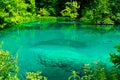 Tranquil turquoise lake