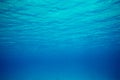Tranquil underwater scene with copy space Royalty Free Stock Photo