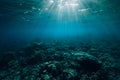 Tranquil underwater scene with copy space. Tropical sea Royalty Free Stock Photo