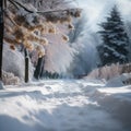 Tranquil and Untroubled Shimmering Snow-laden Tree View