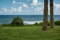 Tranquil view of a green lawn, agave, palms, Mediterranean sea