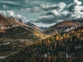 Tranquil view of the Swiss Alps in Avers, with autumn trees and grass in the valley