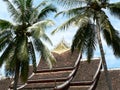 Tranquil view of Temple roof with palms, Luang Prabang, Laos