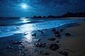 tranquil view of waves lapping a shore at night