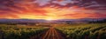 Tranquil vineyard at dusk photo realistic illustration - Generative AI.