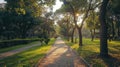 Tranquil Walk: A Scenic Footpath Surrounded by Trees in the Park