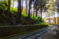 Tranquil and warm forest, charming forest railway track and light and shadow outside the forest form a picturesque scene.