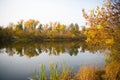 Tranquil water. Autumn landscape. Calm river surface reflecting autumn colorful trees. Beautiful autumn background copy Royalty Free Stock Photo