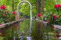 Tranquil water feature in a lush Beautiful green woodland garden with dense foliage