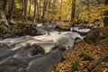 tranquil waterfall in Pennsylvania forest during autumn