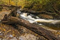 tranquil waterfall in Pennsylvania forest during autumn