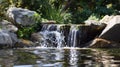 The tranquil waterfall stands tall and proud its gentle stream inviting you to sit and reflect beside its peaceful pond Royalty Free Stock Photo