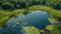 The tranquil waters of a secluded lake provide a peaceful home for a variety of aquatic creatures including rare and Royalty Free Stock Photo