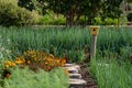 Tranquil, well stocked garden and a yellow bird house at the end of the path at Babelstoren Wine Estate, South Africa Royalty Free Stock Photo