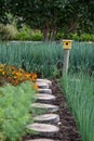 Tranquil, well stocked garden, with a variety of plants and a yellow bird house at the end of the path.