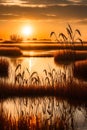 A tranquil wetland at sunset, with tall grasses, reeds, and waterfowl silhouetted against the warm,