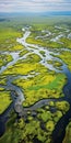 Tranquil Wetlands: Aerial View Of Vibrant Grasslands And Wild Flowers