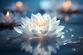 Tranquil White Lotus Blossom Reflecting in Still Waters, Embracing the Serene Beauty of Nature Royalty Free Stock Photo