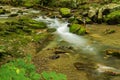 Tranquil Mountain Trout Stream Royalty Free Stock Photo