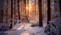 Tranquil winter forest, snow covered trees, sunlight through icy branches generated by AI Royalty Free Stock Photo