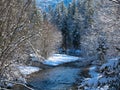 Tranquil winter landscape on the river in the forest Royalty Free Stock Photo