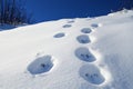 Tranquil Winter Landscape Snow-Covered Hillside with Distinct Footprints Under a Bright Blue Sky Royalty Free Stock Photo