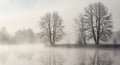 Bare Trees Reflected In Misty Water During A Foggy Winter Morning image photo Royalty Free Stock Photo