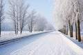 tranquil winter scene of snow-lined bike path