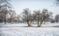 Snowy Winter Scene