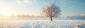 Tranquil winter sunrise landscape, perfect for serene and peaceful morning background visuals