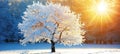 Tranquil winter sunrise scene creating a serene backdrop for stunning backgrounds Royalty Free Stock Photo