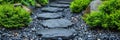 Tranquil zen garden design with balanced thuja branches and stones for peaceful atmosphere Royalty Free Stock Photo