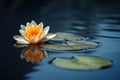 Tranquil Zen Scene with Radiant Lotus Flower Adrift in Calm Waters