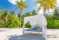 Tranquility beach lounge canopy. Relax carefree scene with palm trees pillows and beds in sunny tropical weather