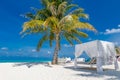 Tranquility beach lounge canopy. Relax carefree scene with palm trees pillows and beds in sunny tropical weather