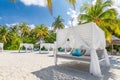 Tranquility beach lounge canopy. Relax carefree scene with palm trees pillows and beds in sunny tropical weather