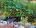 tranquility calm peaceful garden with chair decor Royalty Free Stock Photo