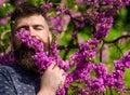 Tranquility concept. Hipster enjoys aroma of violet blossom. Man with beard and mustache on peaceful face near flowers