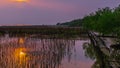 Tranquility landscape panoramic view. Beautiful sunset in peaceful scene with small mangrove planting along the shore to prevent