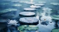 The tranquility of nature and serenity, a zen stone path through a pond with lotuses and water lilies Royalty Free Stock Photo