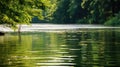 tranquility ripple lake