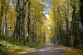 Tranquility scene of a country road in autumn with a road sign