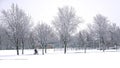 Tranquility scene of footpath with tree-lined in heavy snowfall