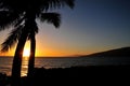 Tranquille elegant orange sunset in Maui Hawaii with palm tree Royalty Free Stock Photo